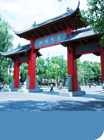 熟女无码